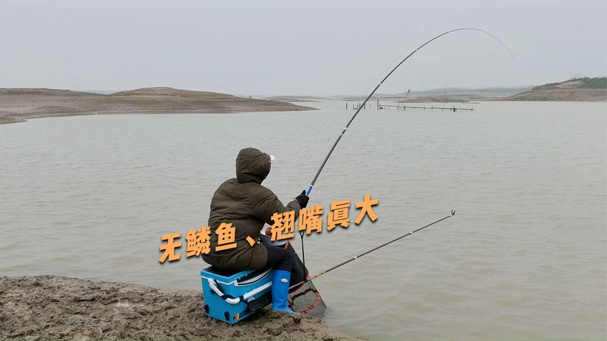 湘村小兰挖沙留下的深坑退水后真藏鱼视频