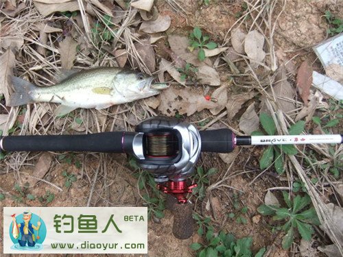 勇士枪柄路亚竿配水滴轮