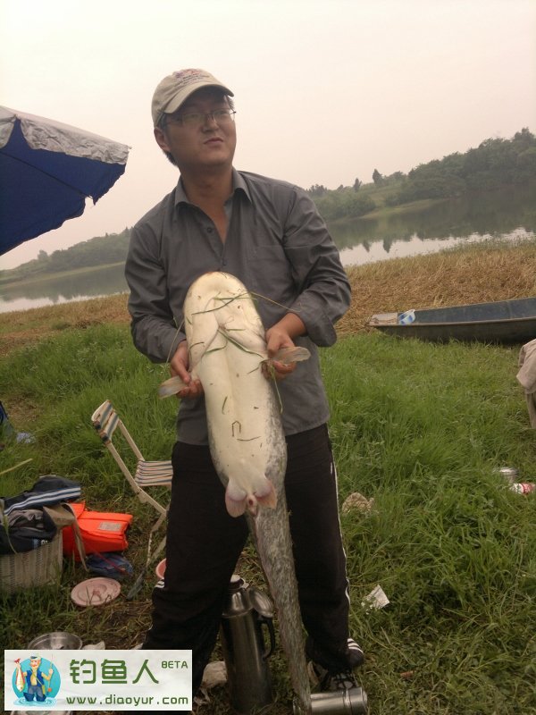 路亚鲶鱼