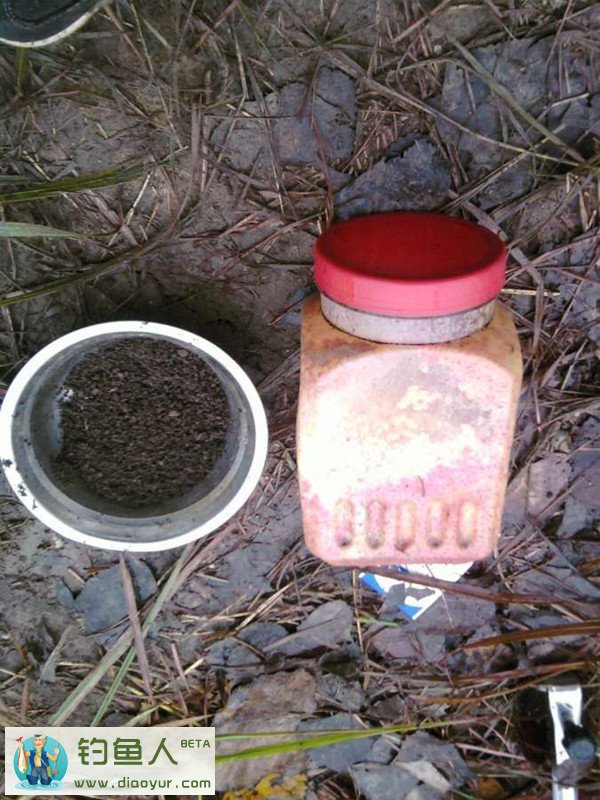 野河钓鲫鱼