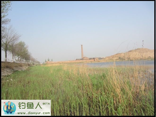 钓点风景