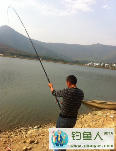 矶竿钓大鱼