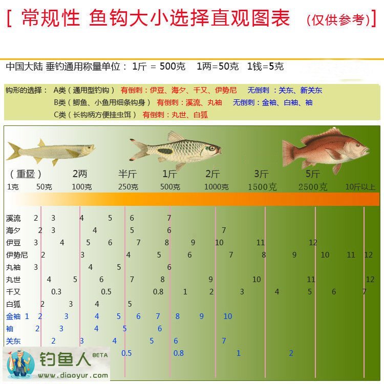 鱼钩的类型种类和钓鱼的大小