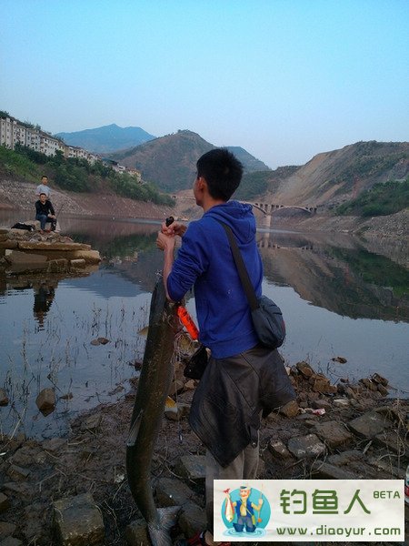 钓友4人长江支流路亚到米级大鳡鱼 - 钓鱼人