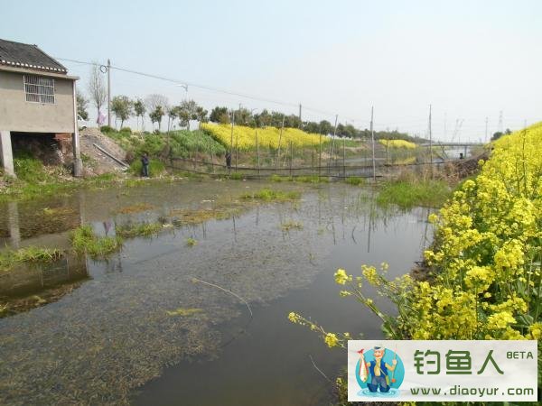 小河钓鲫鱼