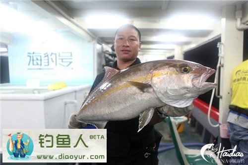 南油海钓