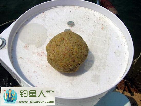 野钓鲫鱼窝图片