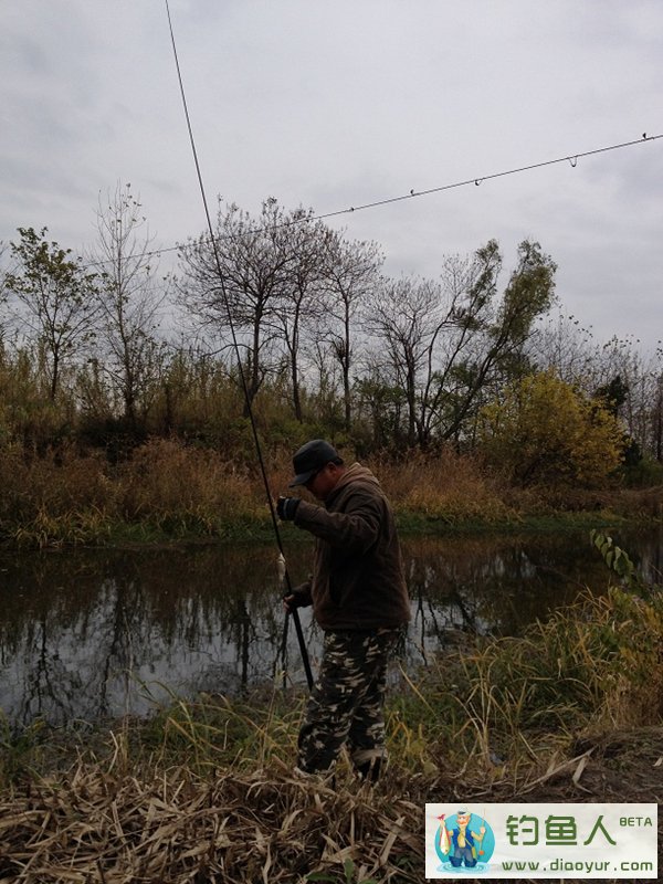 长竿短线钓鲫鱼