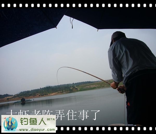 水库钓鲢鳙