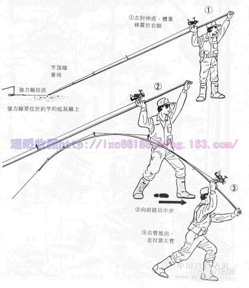钓鱼图解技巧