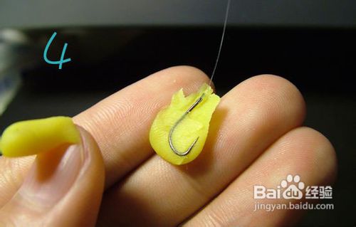 钓鱼方法之怎样用搓饵钓鲫鱼