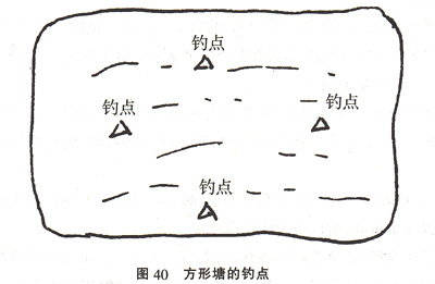 池塘钓鱼选择钓点的14条技巧图文详解