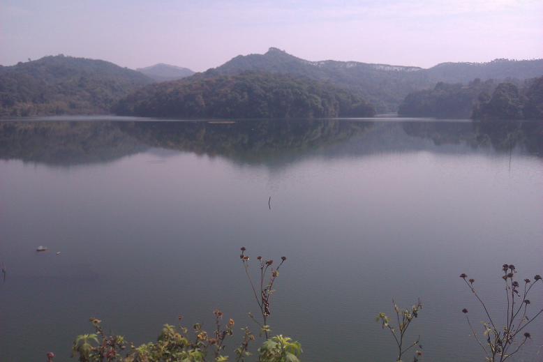 IMAG0082.jpg