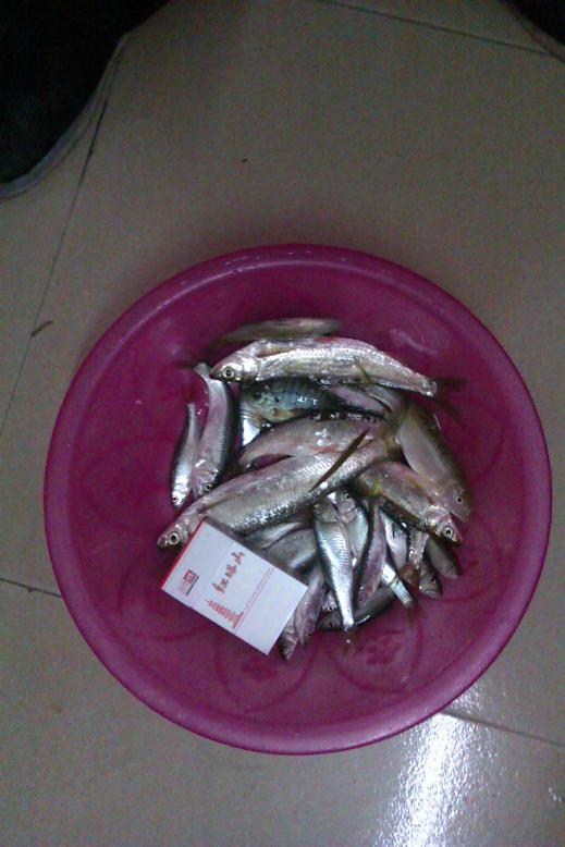 IMAG0056.jpg