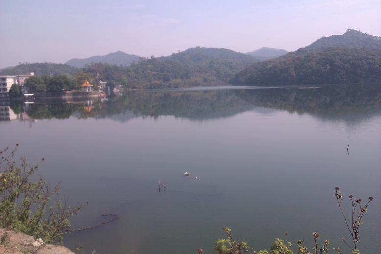 IMAG0083.jpg