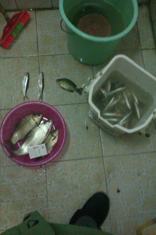 IMAG0078.jpg