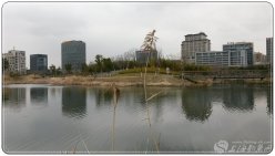 1_03121H94EZ0.jpg