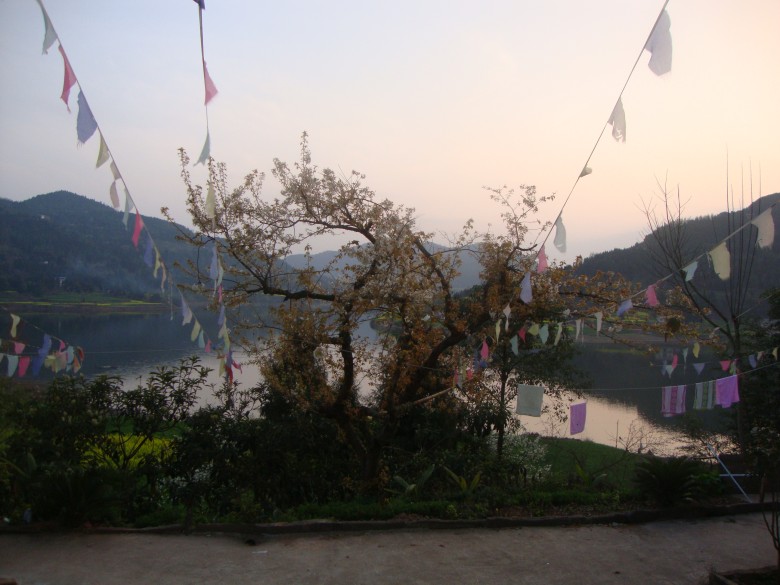 dsc03111_conew1.jpg