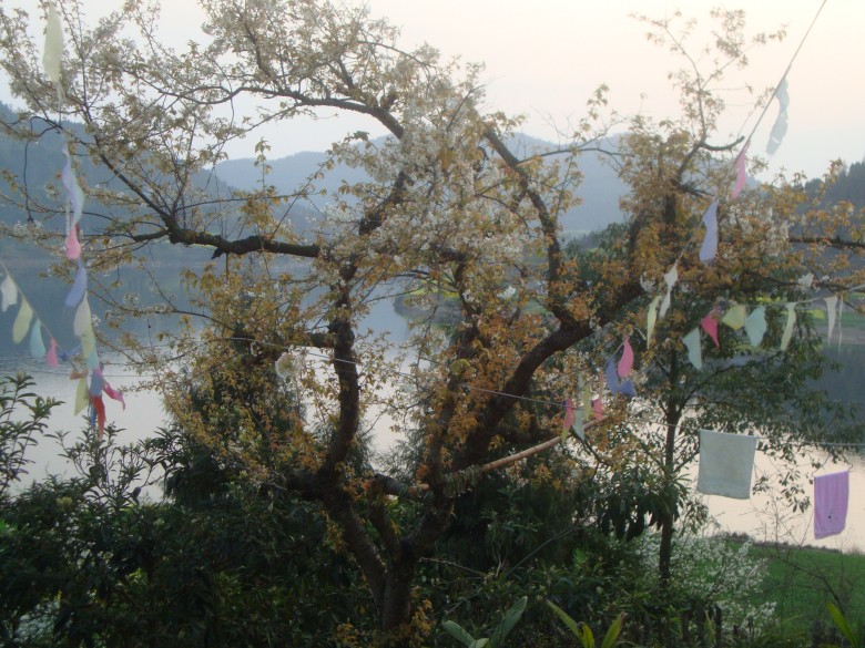 dsc03110_conew1.jpg