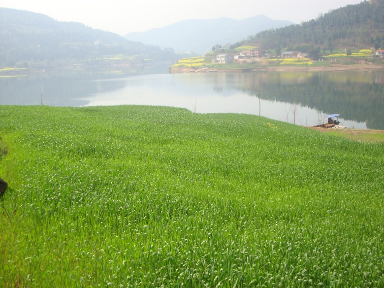 dsc03137_conew1.jpg