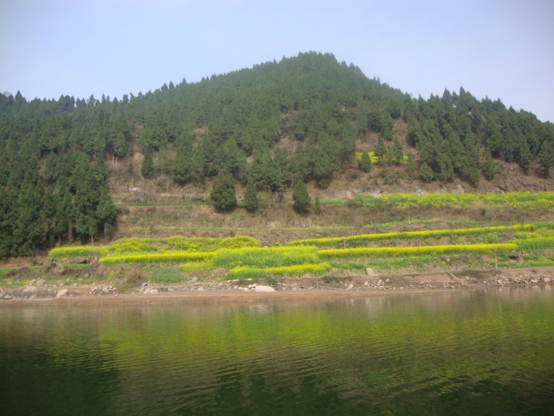 dsc03128_conew1.jpg