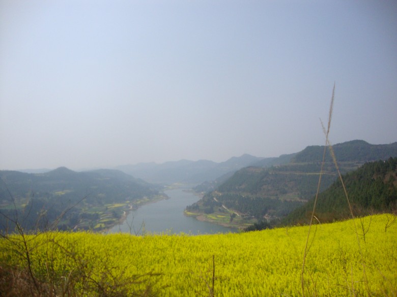 dsc03153_conew1.jpg