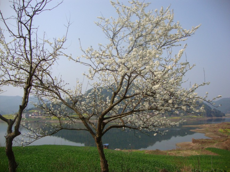 dsc03130_conew1.jpg