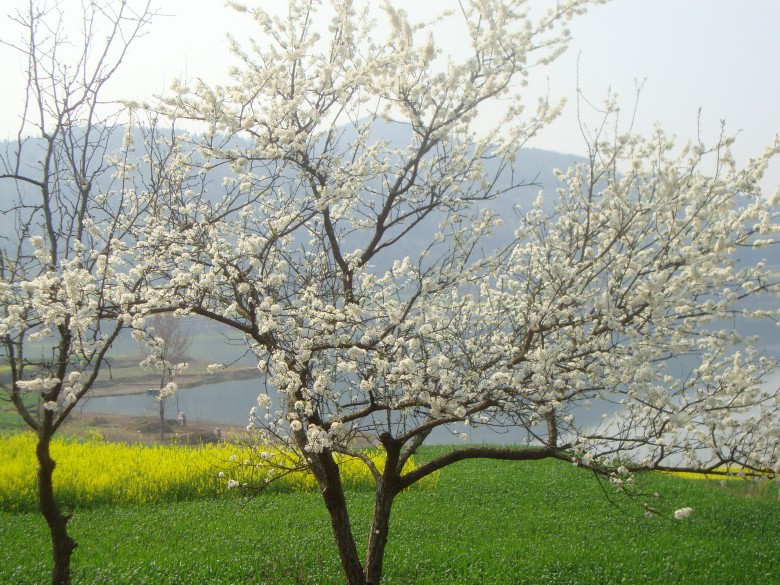 dsc03134_conew1.jpg