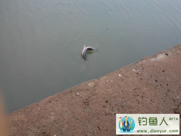 海钓