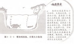 1-140606105230I6-lp.jpg