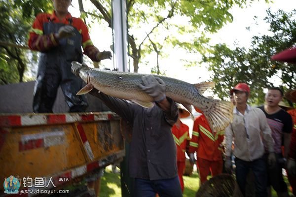 捕到一条怪鱼