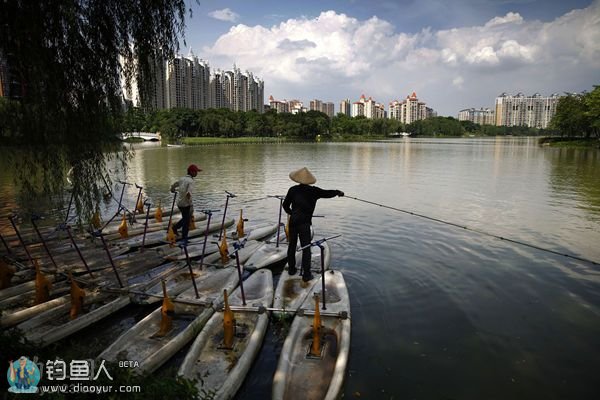 广东佛山亚艺湖捕鱼