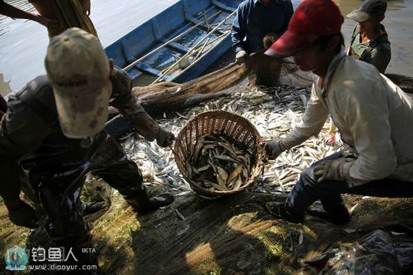 大鱼小鱼都被捞了上来