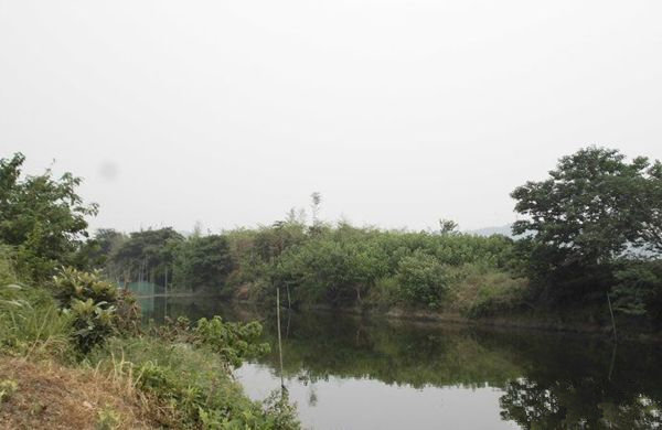 水库风景 水库风景