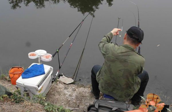 下午达到水库钓点 下午达到水库钓点