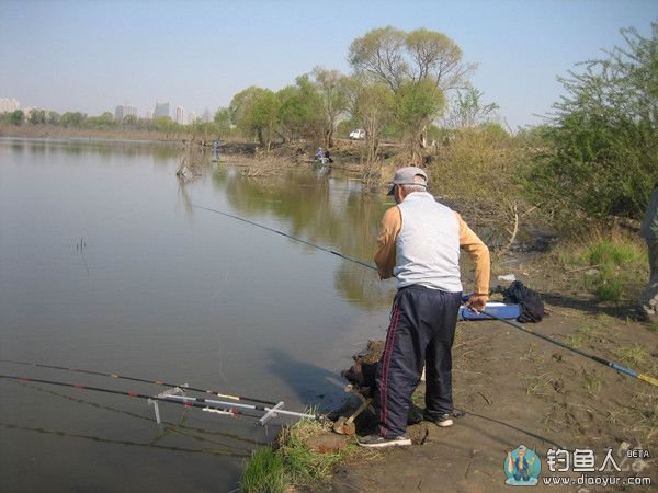 老钓友又中鱼了