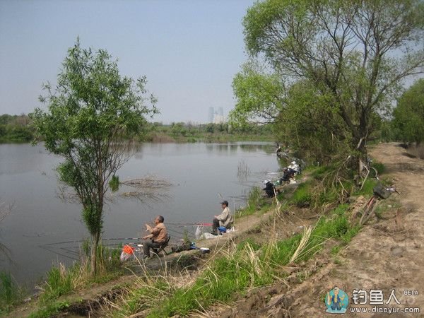 松花江边钓鱼
