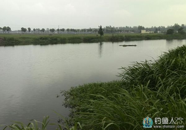 野河风景 野河风景