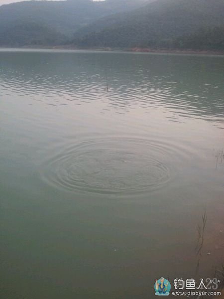 钓到一条大草鱼