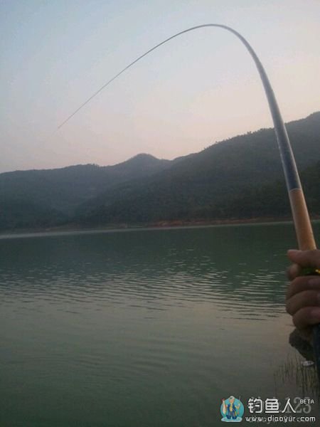 水吼水库钓草鱼