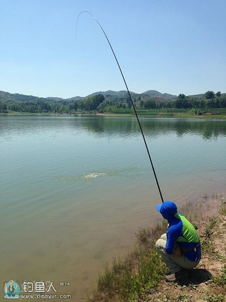 云竹湖遛鱼 云竹湖遛鱼