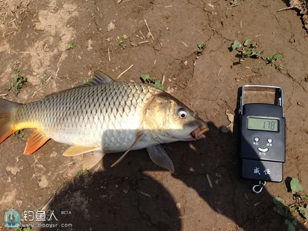 云竹湖垂钓 云竹湖垂钓