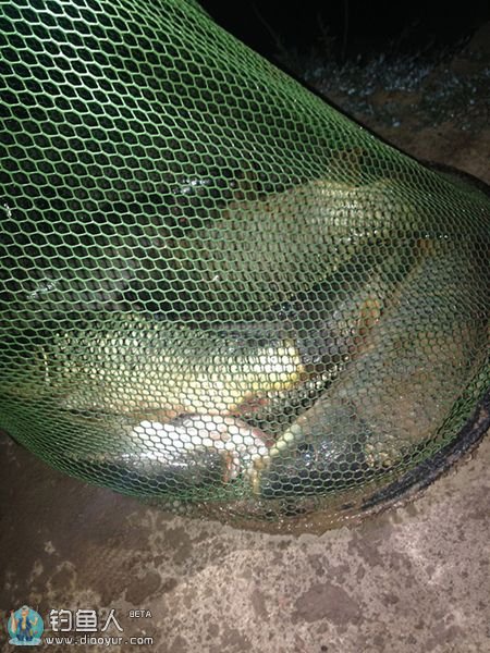 云竹湖最后收获 云竹湖最后收获