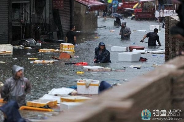 大街上面到处是鱼