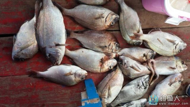 QQ图片20140712162149.jpg