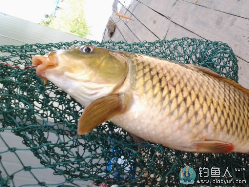 4.明媒正娶跟哥走 4.明媒正娶跟哥走