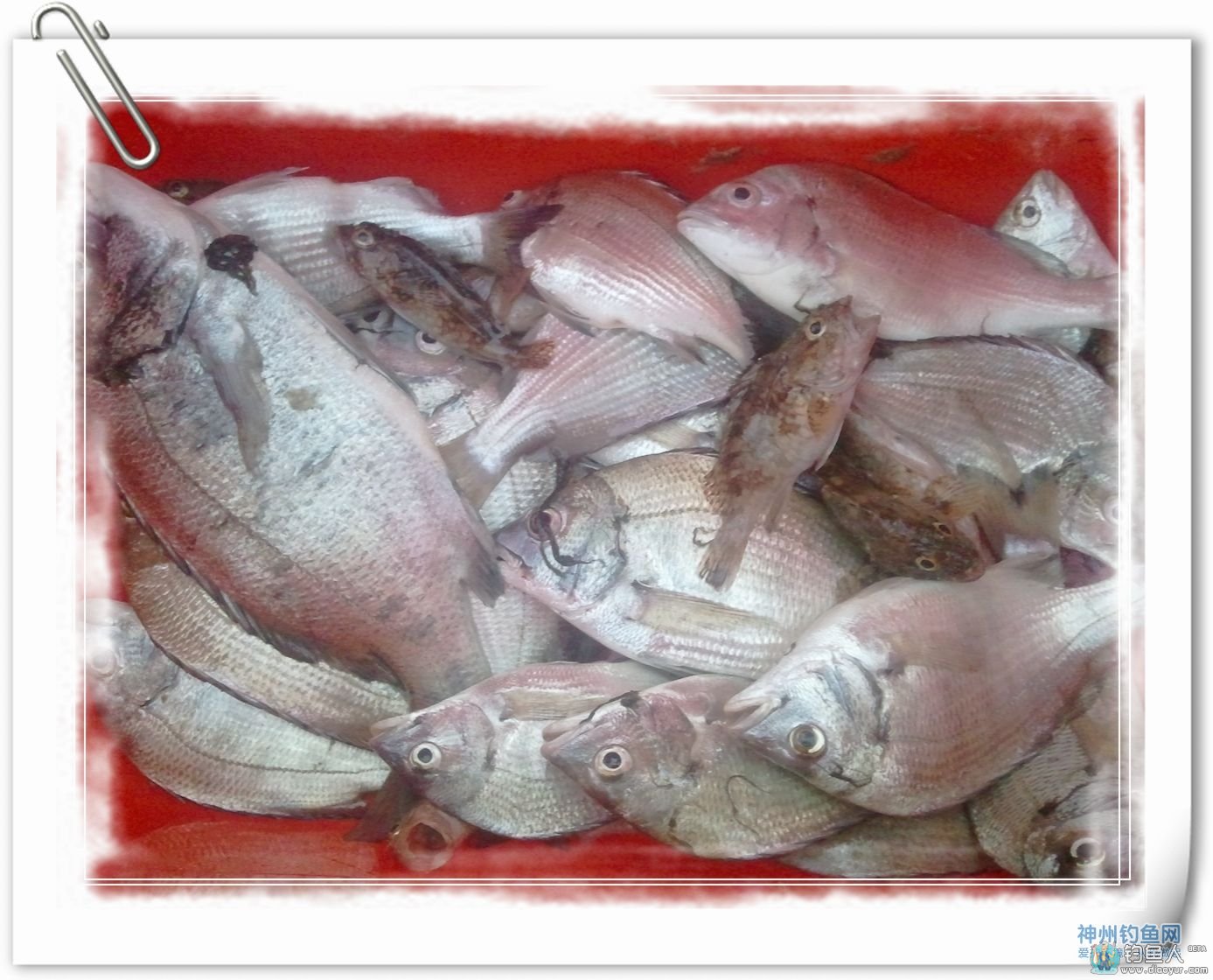 PIC_20140621_183154_731.jpg PIC_20140621_183154_731.jpg