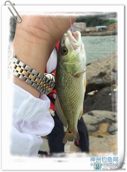 PIC_20140621_224238_A87.jpg PIC_20140621_224238_A87.jpg