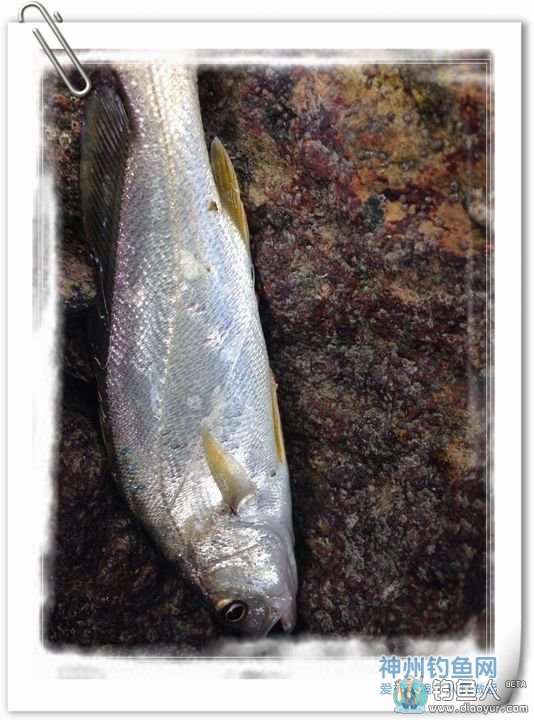 PIC_20140621_222926_6CA.jpg PIC_20140621_222926_6CA.jpg