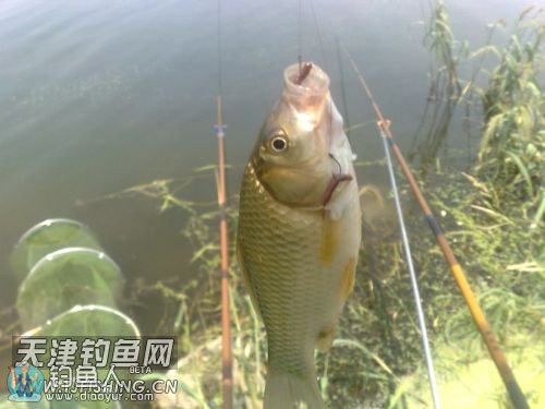 173115iixov9iq00ro1tq0.jpg 173115iixov9iq00ro1tq0.jpg